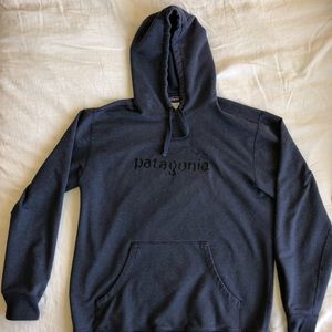 Patagonia Text logo Hoody